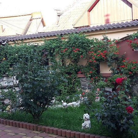 Pensiunea Beltina Решинари Экстерьер фото